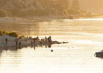 상금 1만 달러 빅베어 송어낚시 대회 도전하세요