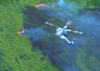 산타바바라 캠핑장 방화 후 도주 … 대형산불로 번질뻔