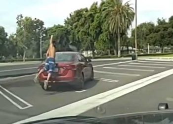 마약 취한 남성, 공원서 난동 … 주먹,발로 차량 파손(영상)