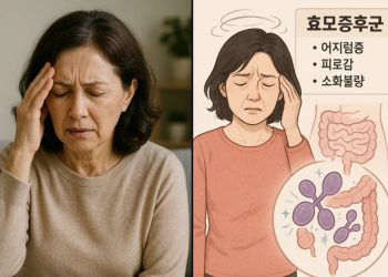 “어지럽고 힘 쫙 빠진다”…갱년기 여성의 적 ‘이’ 증후군