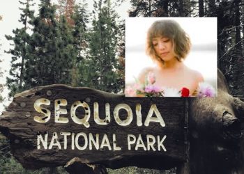 세쿼이야 국립공원서 20대 여성 급류 휩쓸려 실종