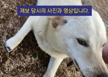 “인간 잔혹함의 끝은 어디인가”