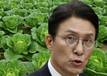 김민석의 황당한 해명 … “배추밭에 투자해 유학비 받았다”