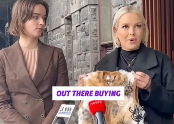 “유명 브랜드 양털 조끼 알고보니 고양이 가죽”