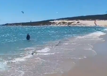 “손발 묶인 시체 여러 구 발견” … ‘죽음의 바다’된 이곳