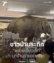 편의점 턴 ‘코끼리’…쌀 과자 훔치고 유유히 사라져(영상)