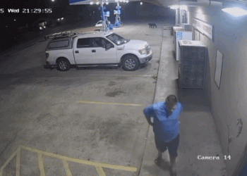 주유소에 나타난 오싹한 불청객(영상)