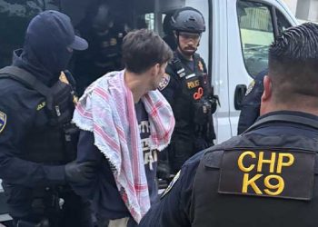 101번 Fwy LAPD 경찰 순찰차 방화범 잡혔다