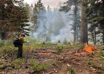 “산불 아닙니다 …안심하세요” … 국립공원 대대적 정비 소각