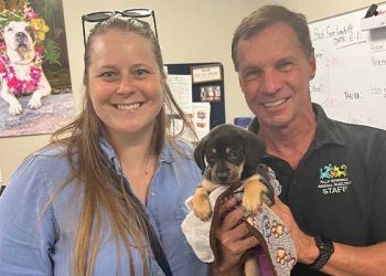 리버사이드 애니멀 셸터, 유기동물 100여마리 타주 이송