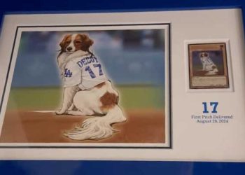 오타니 반려견도 특별대우. 유기오 카드 만들어져