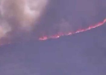 버뱅크 주택가 인근 베다니 산불 발생 .. 주민대피