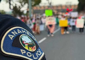 OC 시위대, 디즈니랜드 인근 집결 .. 주말 디즈니랜드 긴장