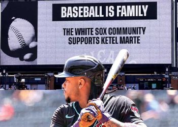 마르테의 모친 모욕한 관객, MLB 모든구장 출입금지