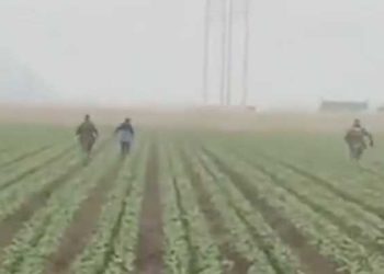 옥스나드 농장지대서도 이민단속 … 시장, 이민당국 강력 비난