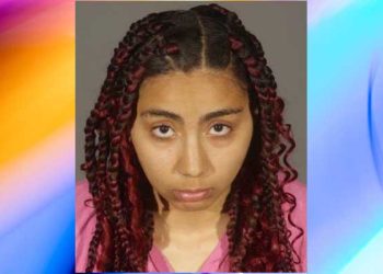 ‘장애 아동 돌보미’ 20대 여성, 아동 음란물 소지했다 체포