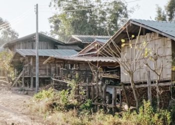 “말 못하고 개처럼 짖기만”…개에 길러진 8살 소년 구조