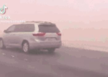 전봇대 도미노처럼 ‘와르르’…모래폭풍 덮친 라스베가스(영상)