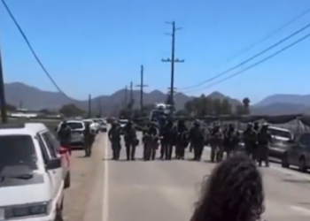 ‘최루탄 발사’ 마리화나 농장 이민단속 200명 체포 .. 역대 최대규모