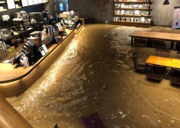 400mm ‘괴물 폭우’ 쏟아진 광주, 스타벅스도 처참