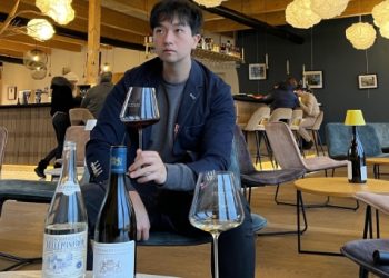[제임스 김의 와인 스토리]파소 로블스의 보석, DAOU 와이너리