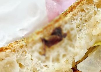 “햄버거 먹다 바삭…빵 속엔 바퀴벌레 반쪽”(영상)