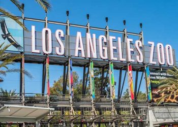 [이슈] 올림픽 앞두고 ‘LA 동물원’ 운영갈등 격화 … 5천만달러 기금 소송전
