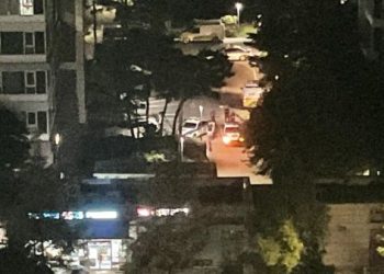 아버지가 30대 아들 총격 살해 …손주 참석한 자신의 생일잔치서