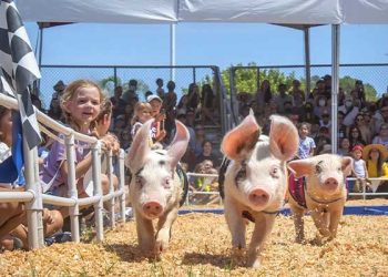 코스타메사 OC 페어 개막.. 8월 17일 까지 23일간