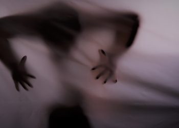 “성관계 중 60대 동성커플 참수, 토막내” … 범인 포르노 제작자