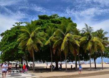 신혼여행 중 비극…결혼 7일 된 신부, 벼락 맞아 사망