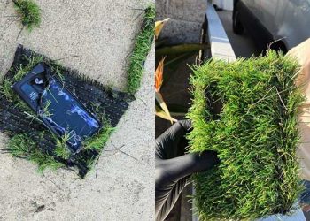 토랜스. 남미 원정강도들 기승 … “사람 있어도 침입”