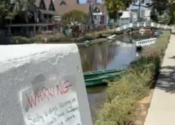 베니스 지역 커낼 인근서 반려견들 잇따라 의문사 … 주민들 불안 고조