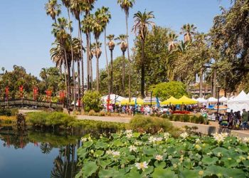 에코팍 연꽃 축제 이번 주말 … 한국문화원도 참여