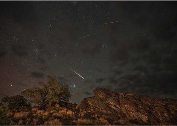 ‘수십개 별똥별 동시에’ 환상적 8월 우주쇼 … 어디서 보나?