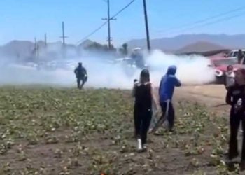 ICE, 카마리요 농장 급습 … 최루탄 발사하며 농장노동자 수십명 체포