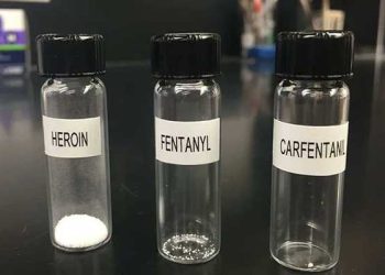 펜타닐 보다 100배 쎈 ‘카르펜타닐’ 첫 사망자 확인