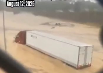 폭우·홍수 덮친 테네시 채터누가…나무 쓰러져 일가족 3명 참변