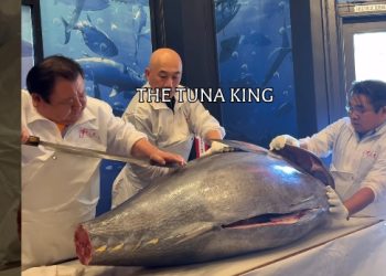 ‘참치왕’ 스시 잔마이, LA 한인타운 첫 상륙