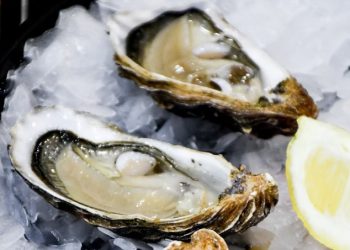 ‘살 파먹는 박테리아’ 확산… 올해만 4명 사망, 22명 입원