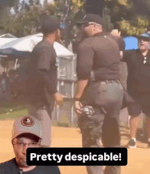 [이런일도] 아이들 야구 하다 어른들끼리 주먹 다짐 난투극(영상)