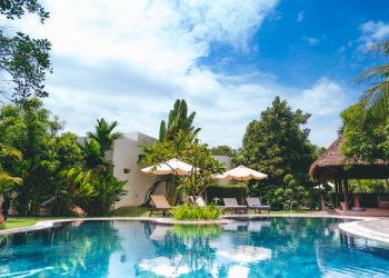 [통계] 한인타운엔 뒷마당 수영장 있는 집 얼마나 될까 .