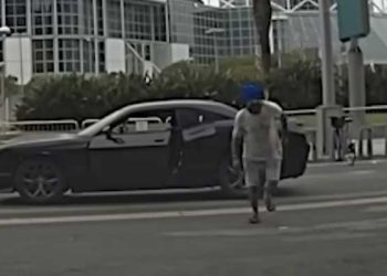 LA 도심서 마체테 들고 돌진 남성, 경찰이 사살(영상)