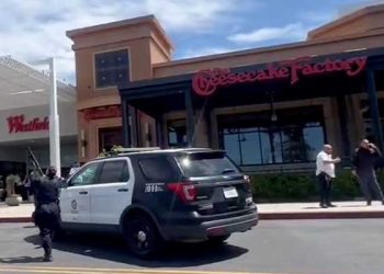 ‘치즈케익 팩토리’서 총격 … 레스토랑서 여성 총 맞아