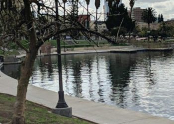 한인타운 인접 맥아더파크 호수에 시신 떠올라