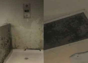 “곰팡이·벌레 득실”…한국 노동자들 구금 ‘폭스턴 이민구치소’는 어떤 곳?