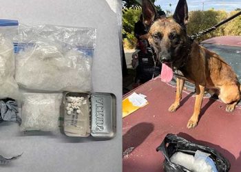 포모나 주택가 대규모 마약·총기 단속 … SWAT 투입, 거주불가 판정