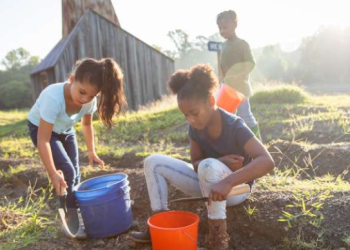 [화제] 다이아몬드 공원서 장난감삽으로 다이아 발견