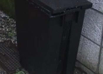 20대 산모, 갓난아기 쓰레기통 버리고 아이돌 공연 참석