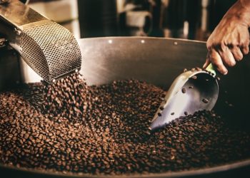 미국 커피값, 28년 만에 최고 … 브라질산 관세·공급난에 원두값 폭등